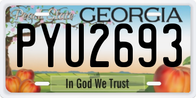 GA license plate PYU2693