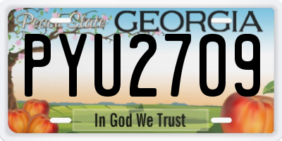GA license plate PYU2709