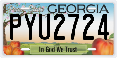 GA license plate PYU2724