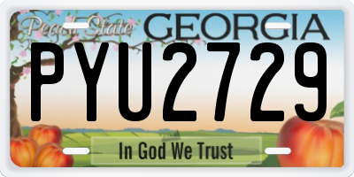 GA license plate PYU2729
