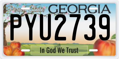 GA license plate PYU2739