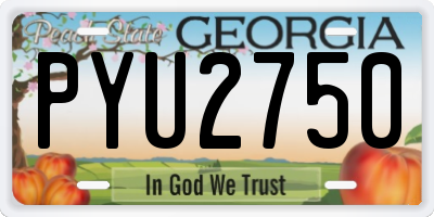GA license plate PYU2750