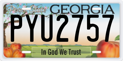 GA license plate PYU2757