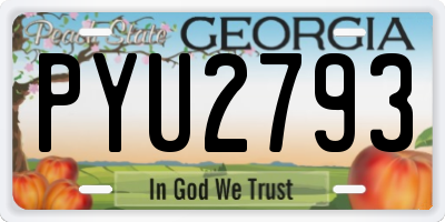 GA license plate PYU2793