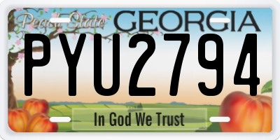 GA license plate PYU2794
