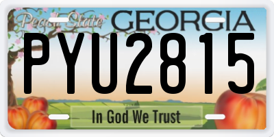 GA license plate PYU2815