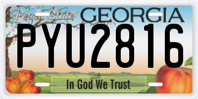 GA license plate PYU2816
