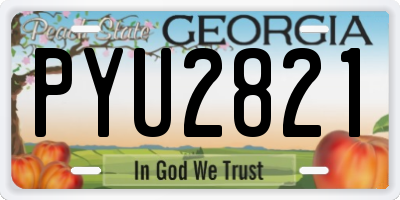 GA license plate PYU2821