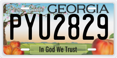 GA license plate PYU2829