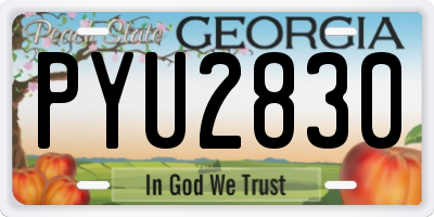 GA license plate PYU2830
