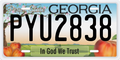 GA license plate PYU2838