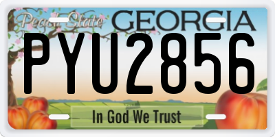 GA license plate PYU2856