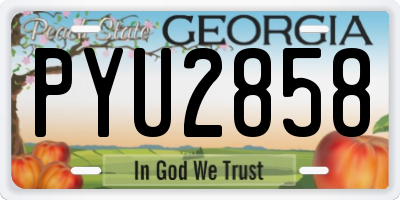 GA license plate PYU2858