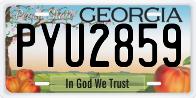 GA license plate PYU2859