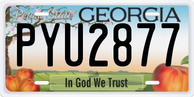 GA license plate PYU2877