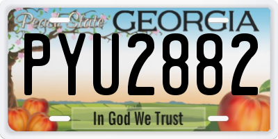 GA license plate PYU2882
