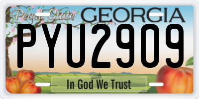 GA license plate PYU2909