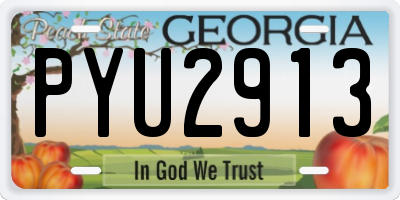 GA license plate PYU2913