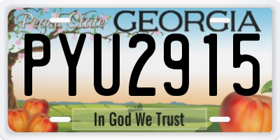 GA license plate PYU2915
