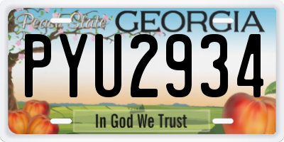 GA license plate PYU2934