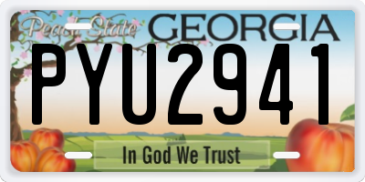 GA license plate PYU2941