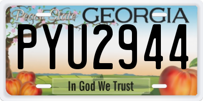 GA license plate PYU2944