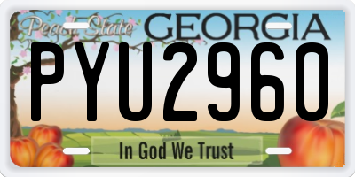 GA license plate PYU2960