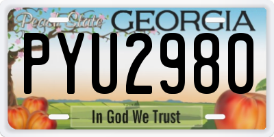 GA license plate PYU2980
