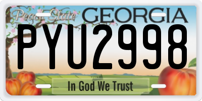 GA license plate PYU2998