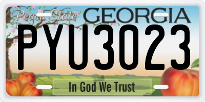 GA license plate PYU3023