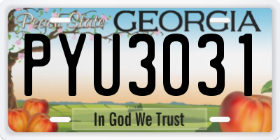 GA license plate PYU3031