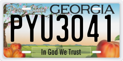 GA license plate PYU3041