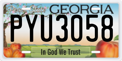 GA license plate PYU3058