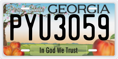 GA license plate PYU3059