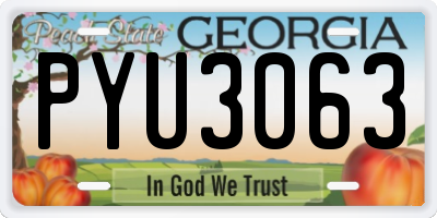 GA license plate PYU3063