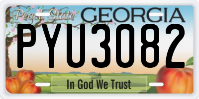 GA license plate PYU3082