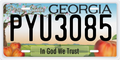 GA license plate PYU3085
