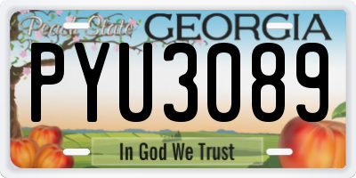 GA license plate PYU3089