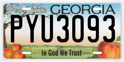 GA license plate PYU3093