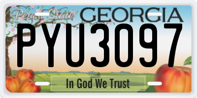 GA license plate PYU3097