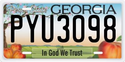 GA license plate PYU3098