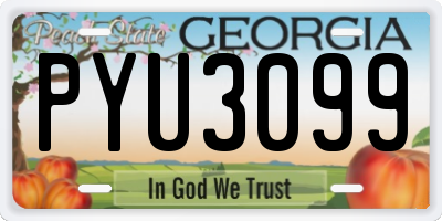 GA license plate PYU3099