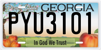 GA license plate PYU3101