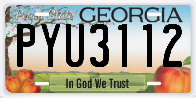 GA license plate PYU3112