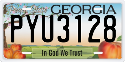 GA license plate PYU3128