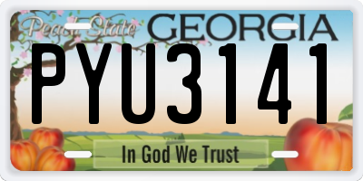 GA license plate PYU3141