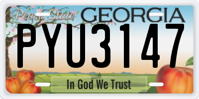 GA license plate PYU3147
