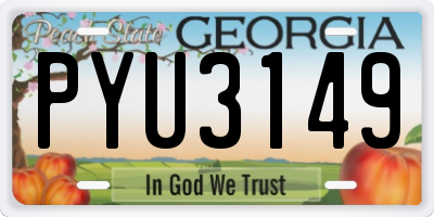 GA license plate PYU3149