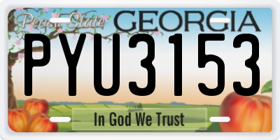 GA license plate PYU3153