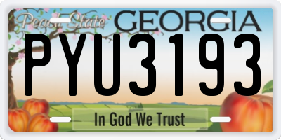 GA license plate PYU3193